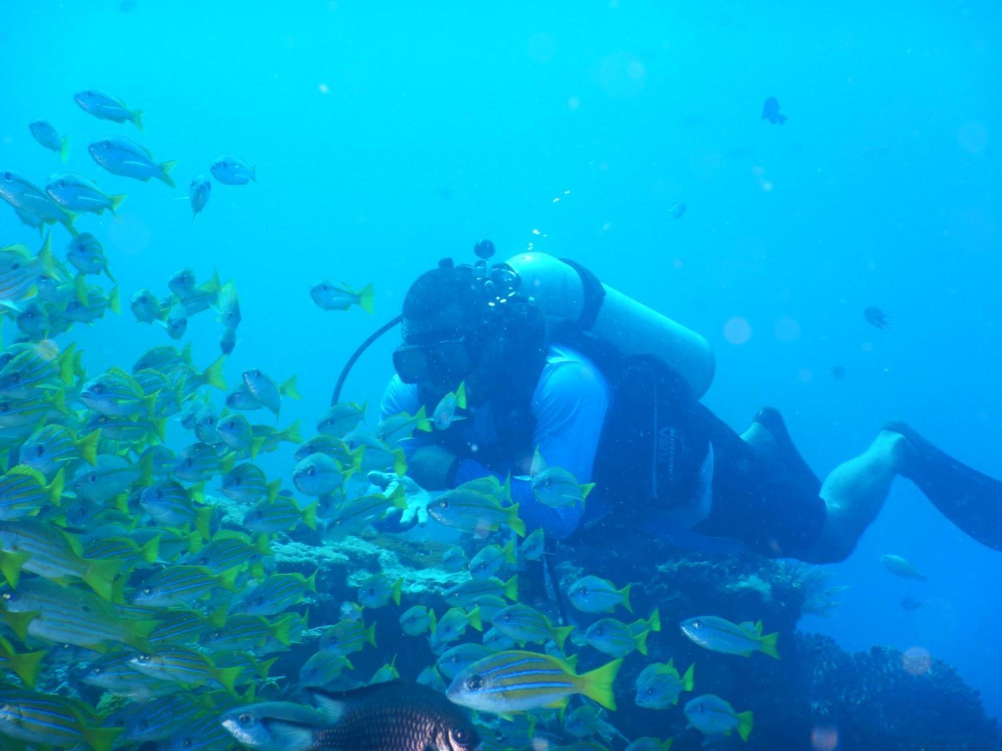 Villa Raja Ampat Blue Sea Besir Exterior foto